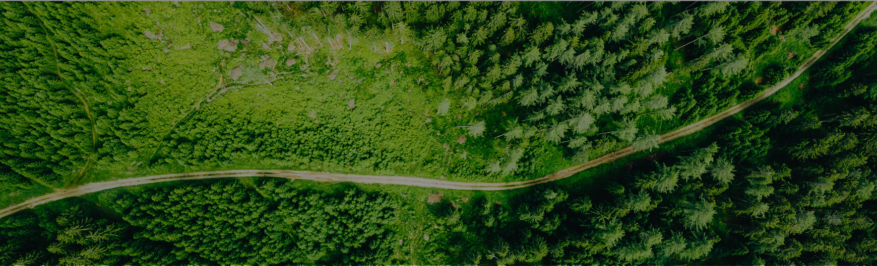 博亚体育app下载最新平台