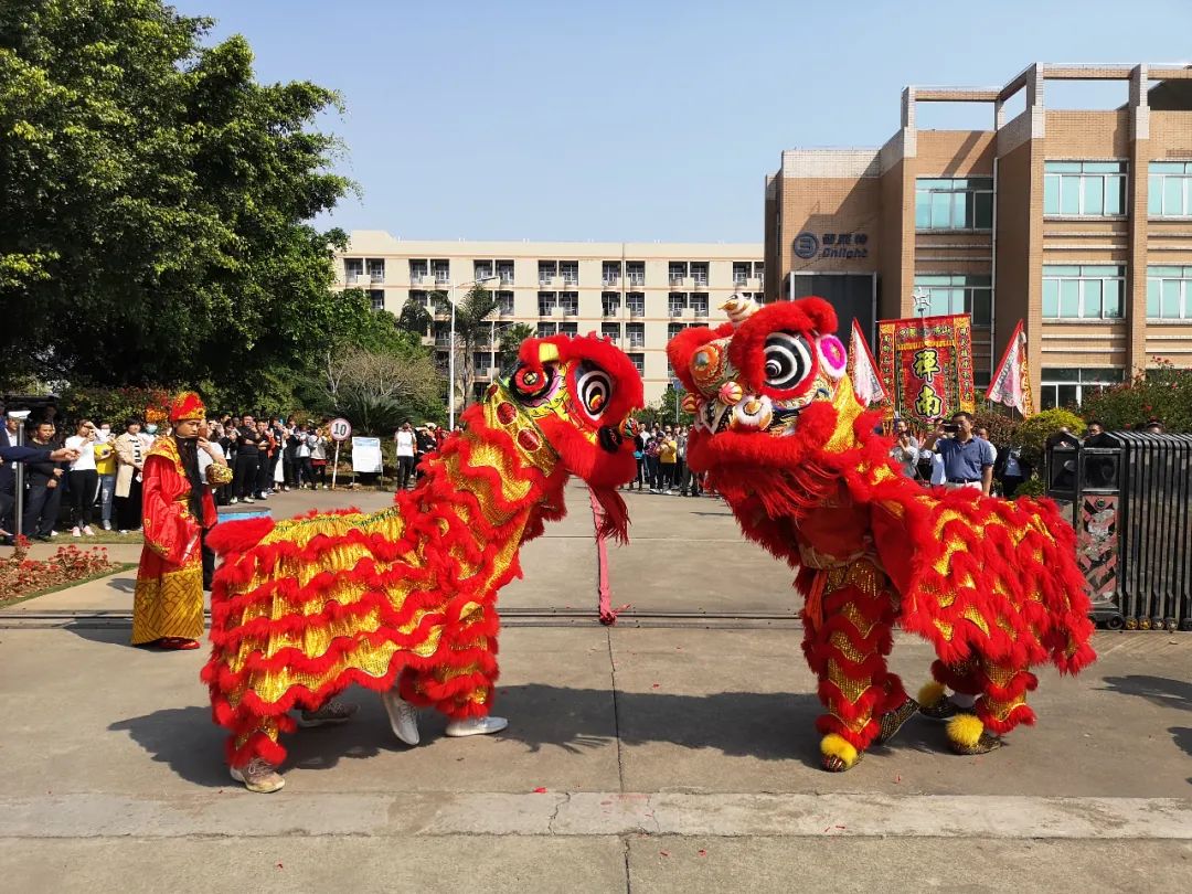 博亚体育app下载最新平台