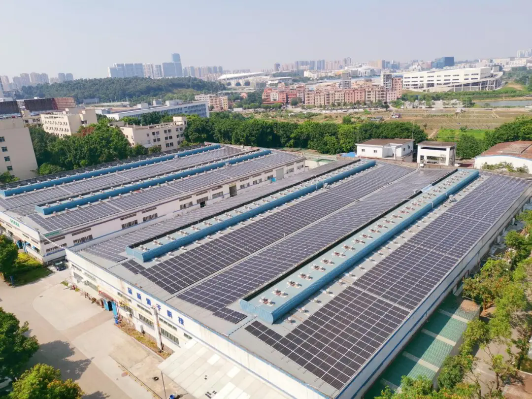 博亚体育app下载最新平台