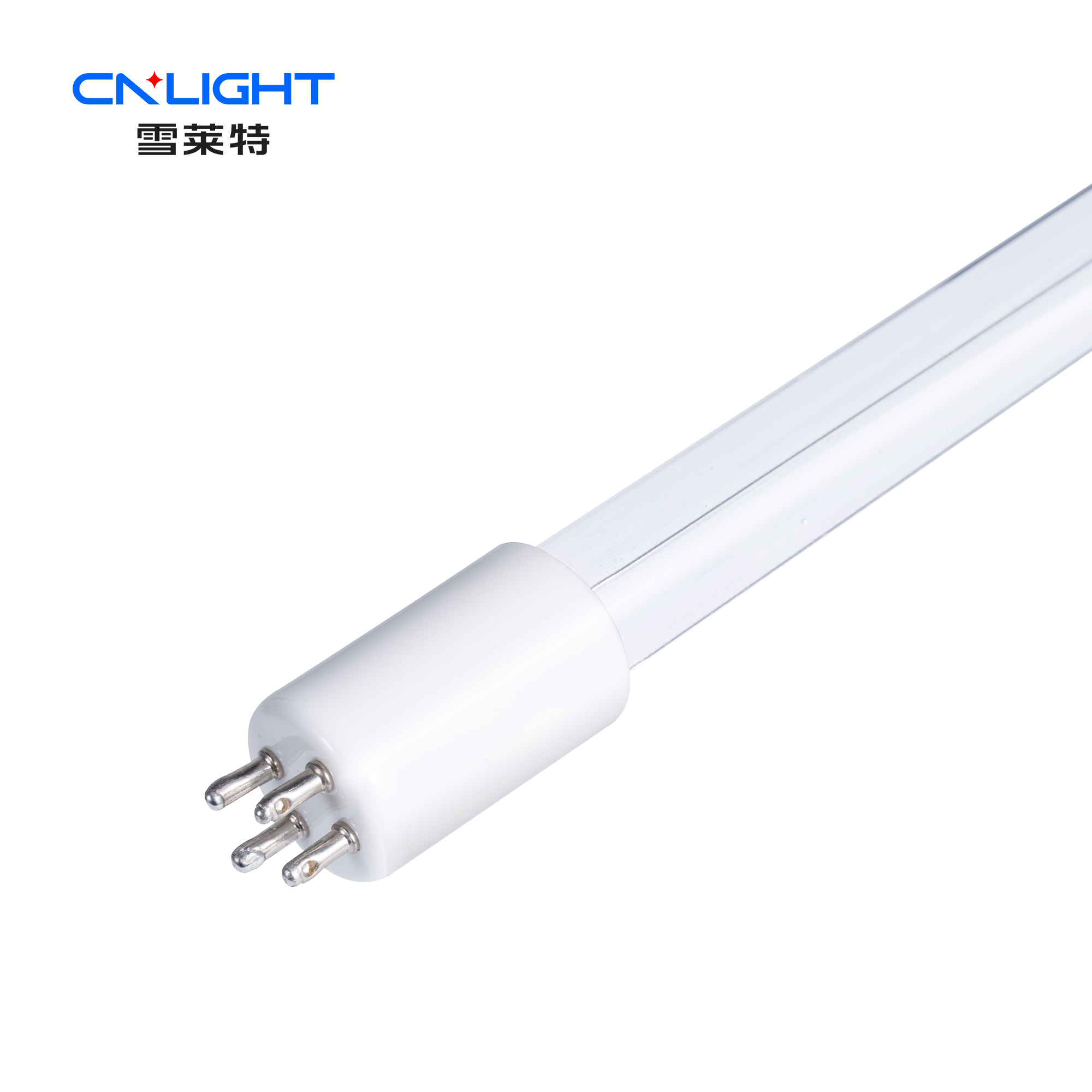 博亚体育app下载最新平台