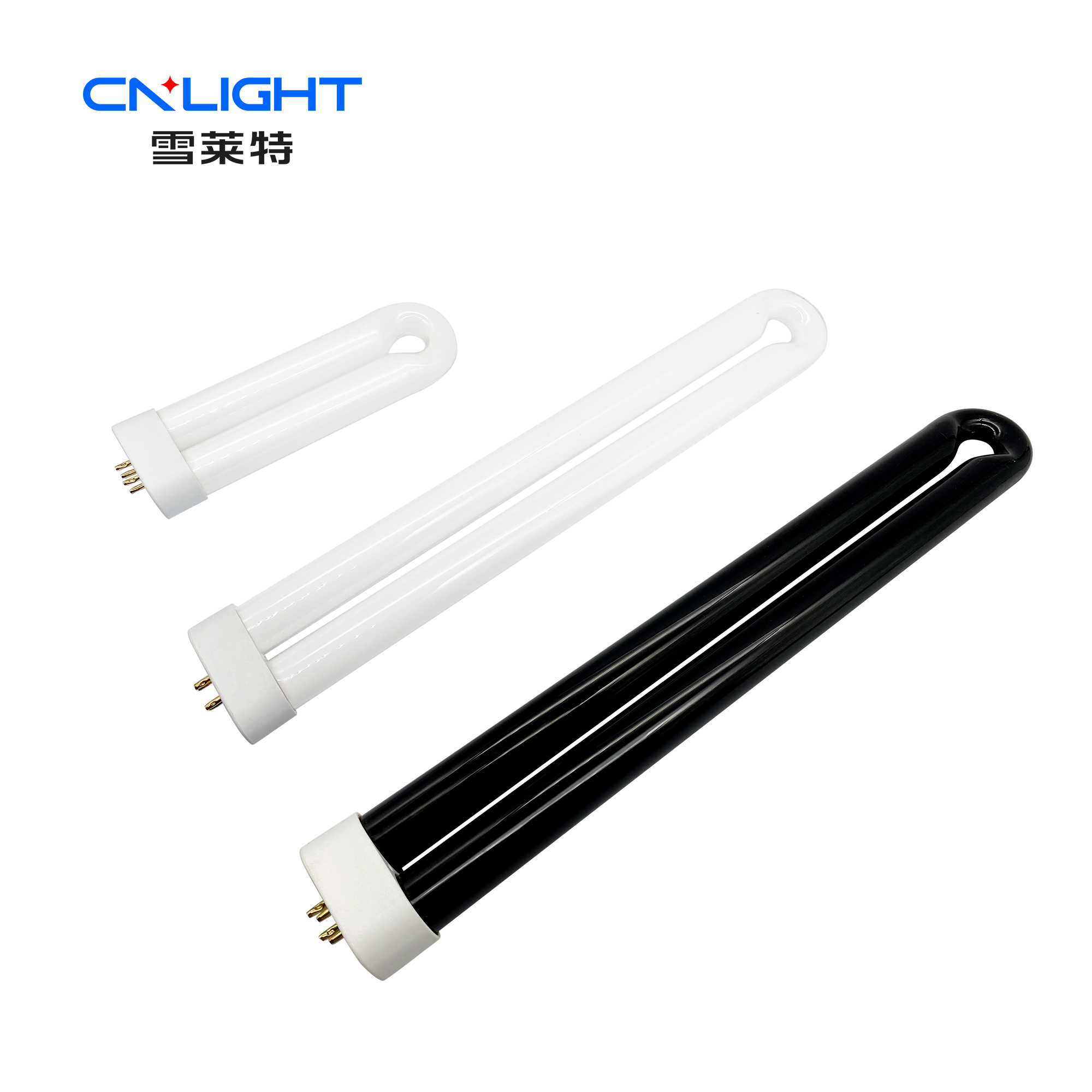 博亚体育app下载最新平台