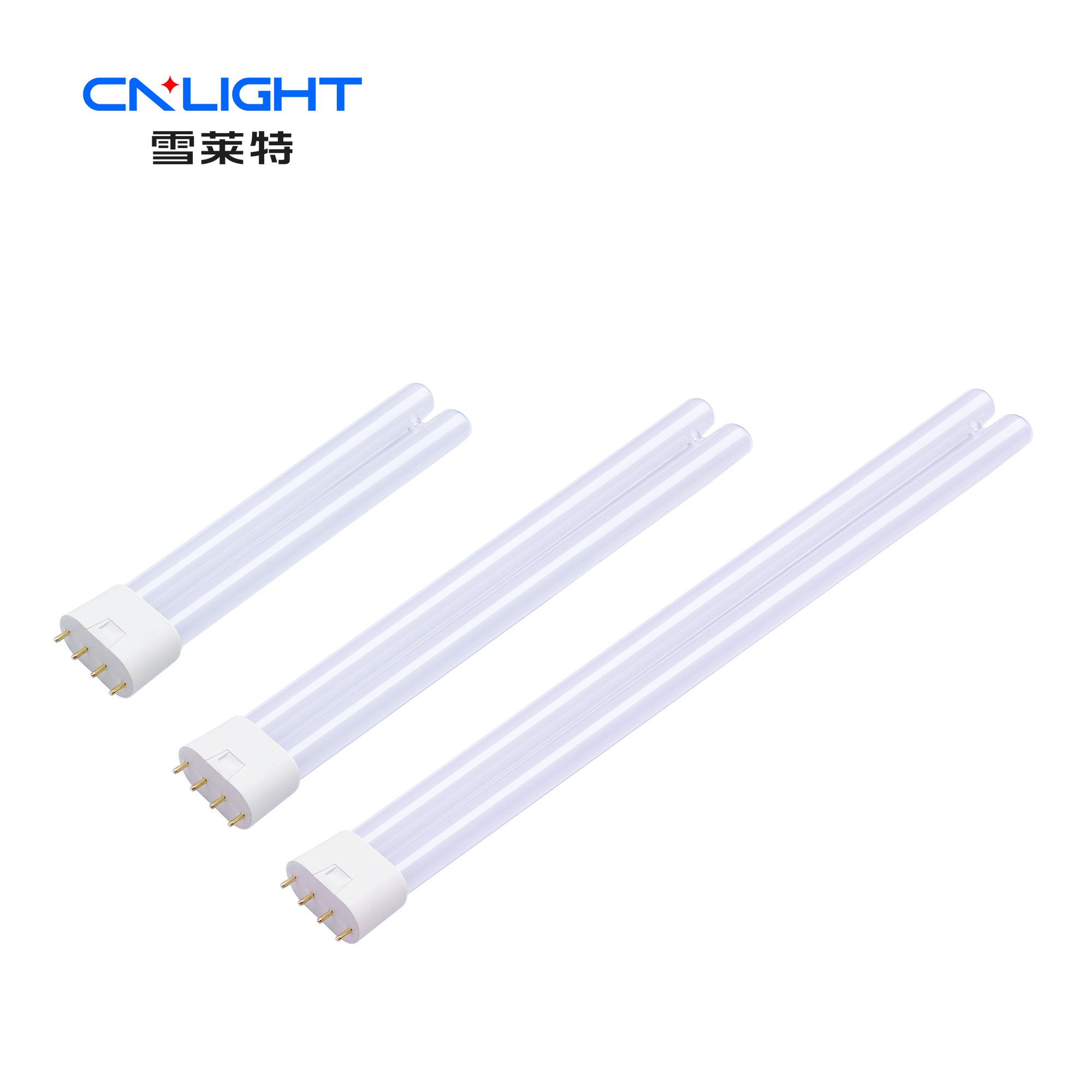 博亚体育app下载最新平台