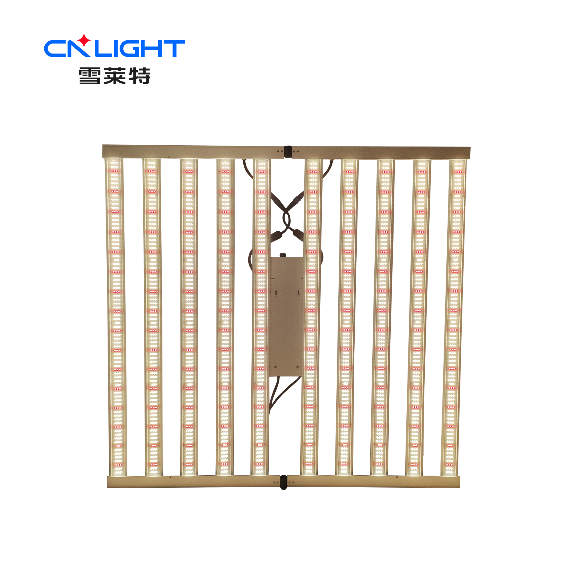 博亚体育app下载最新平台