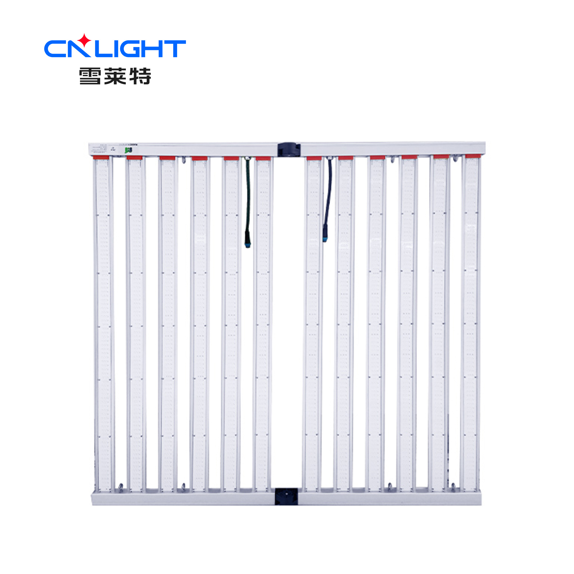 博亚体育app下载最新平台