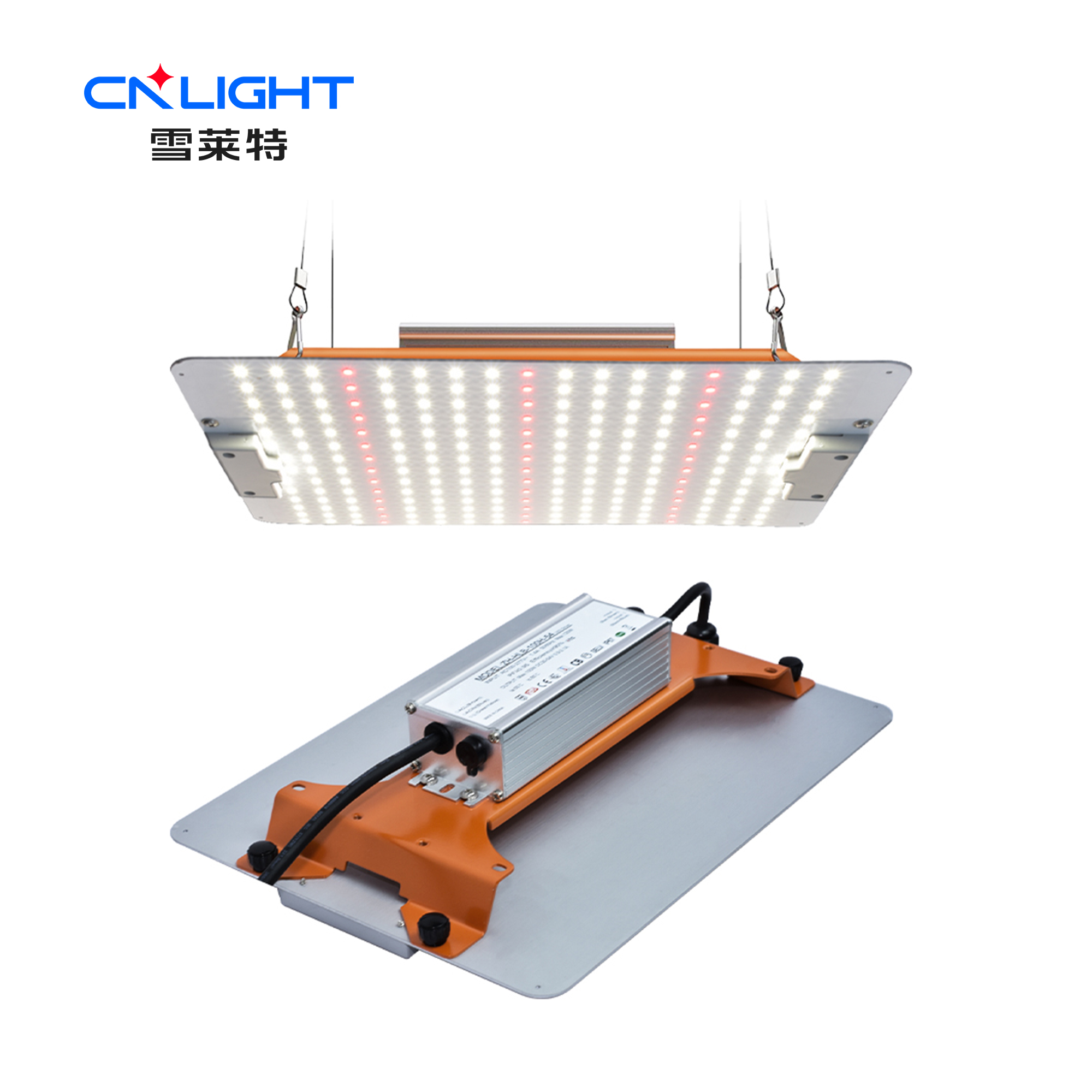 博亚体育app下载最新平台