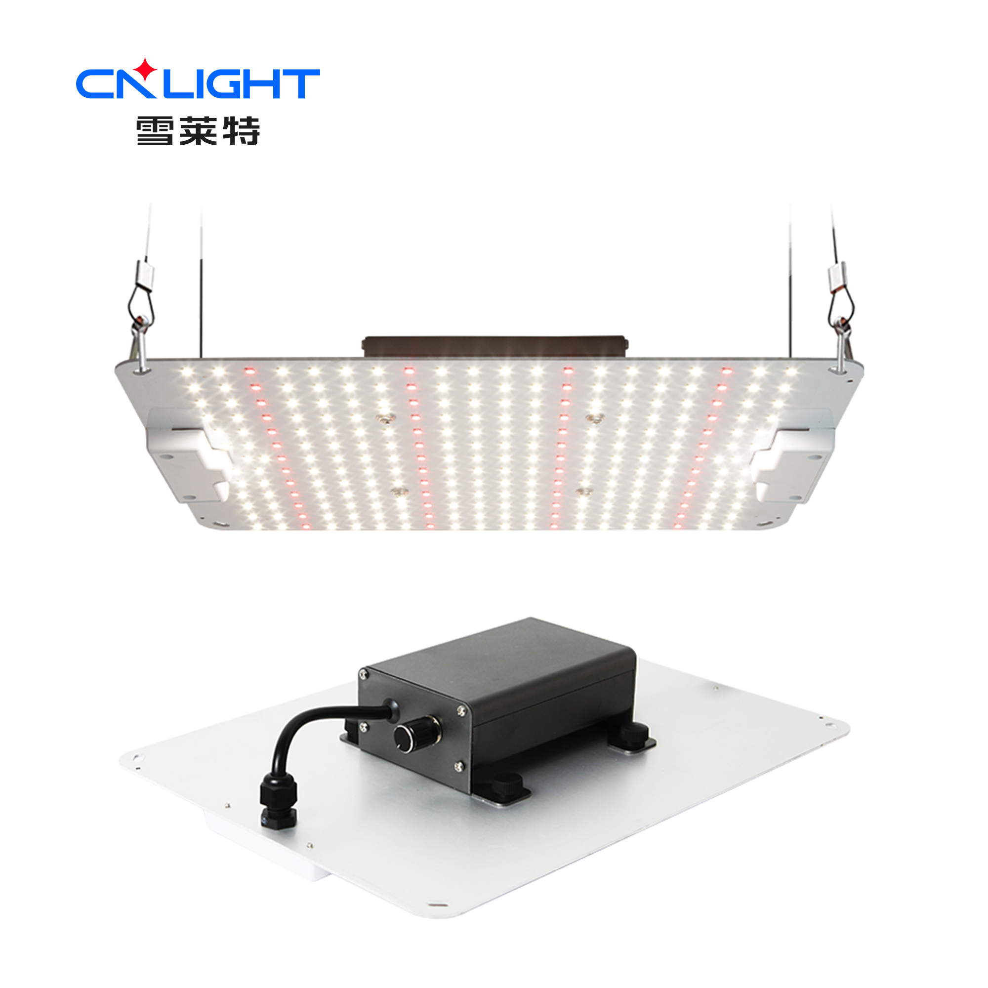 博亚体育app下载最新平台