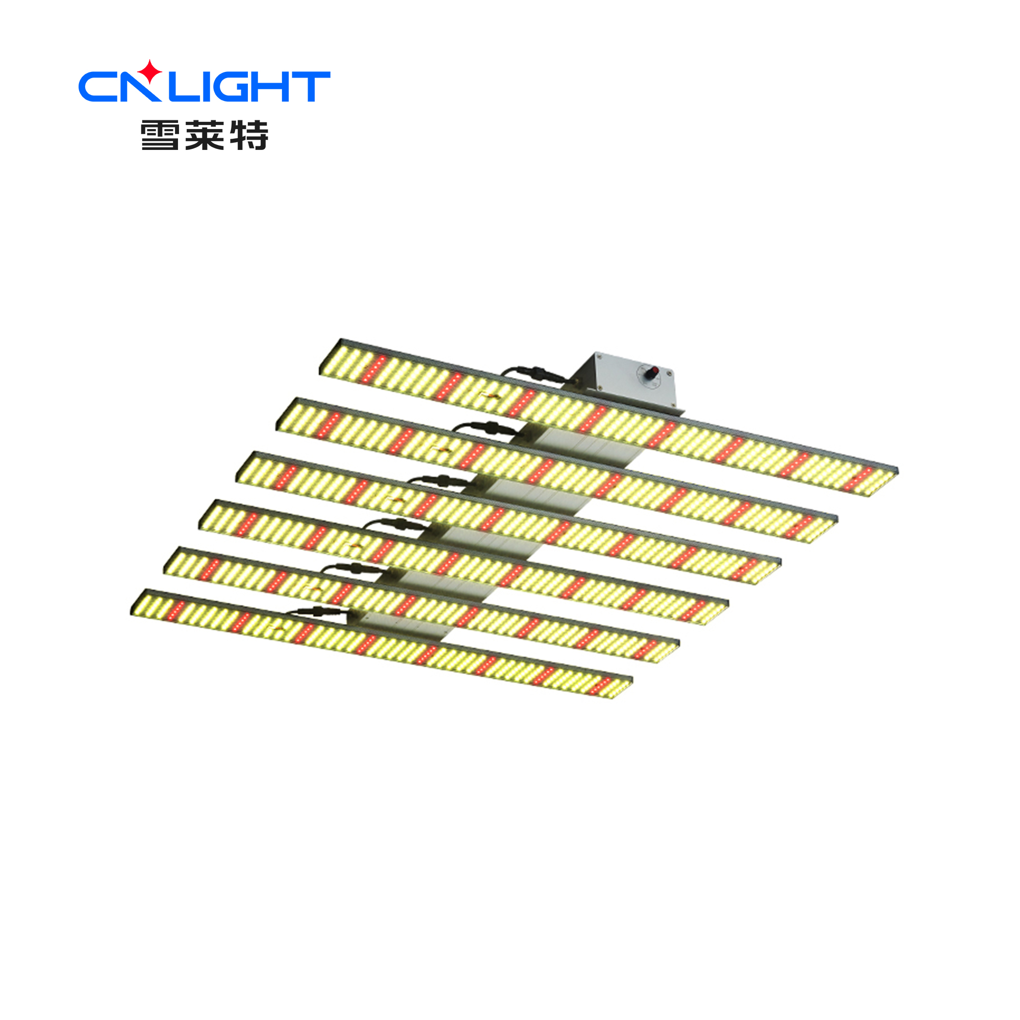 博亚体育app下载最新平台